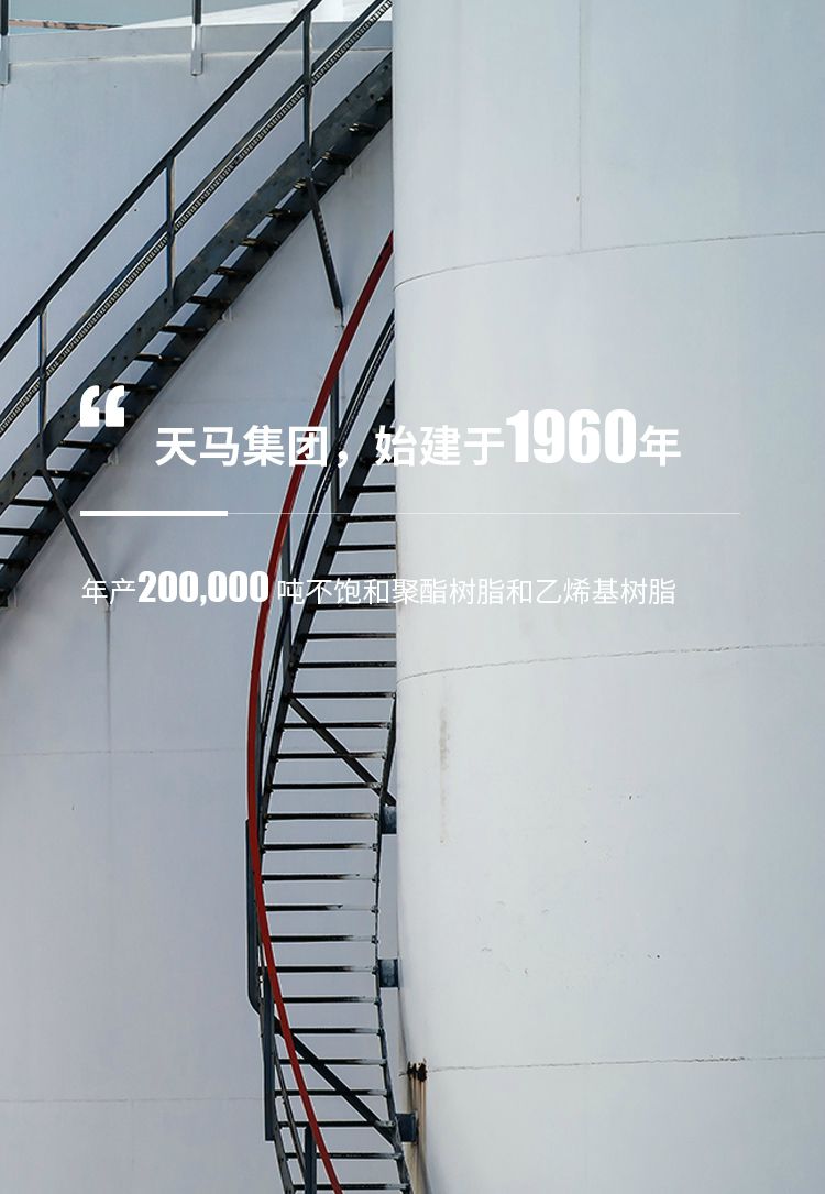 天馬集團(tuán)，始建于1960年